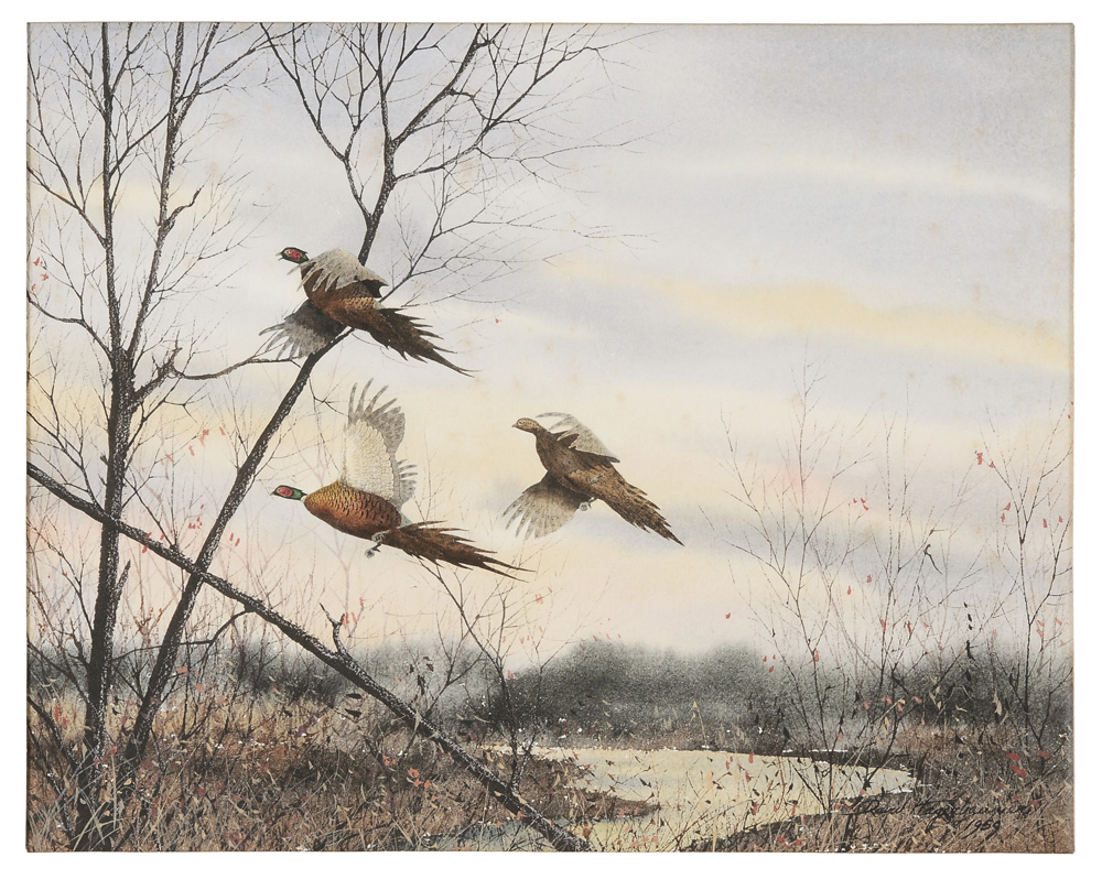 David Hagerbaumer (California, born