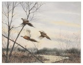 David Hagerbaumer (California,