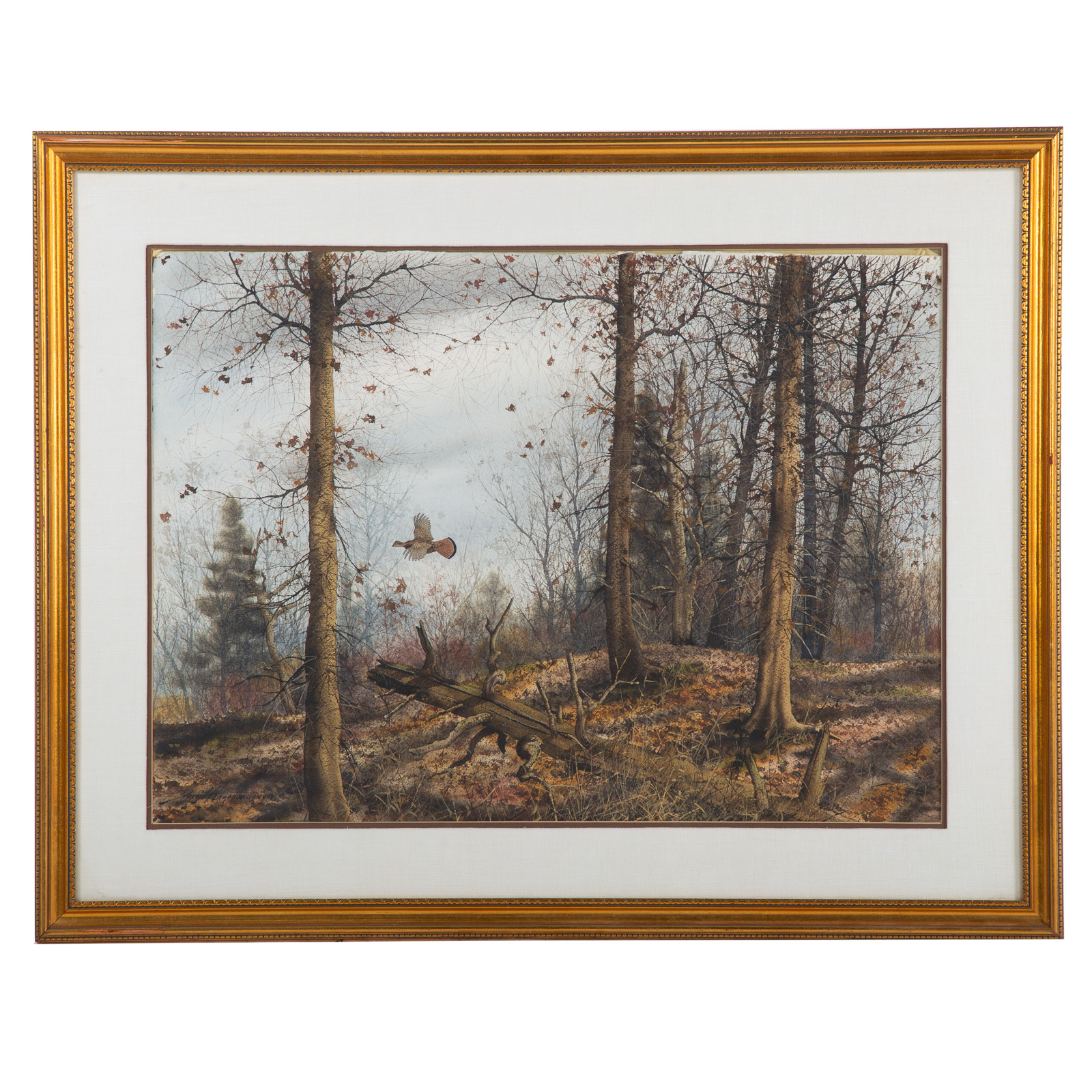 DAVID HAGERBAUMER. GROUSE FLYING,