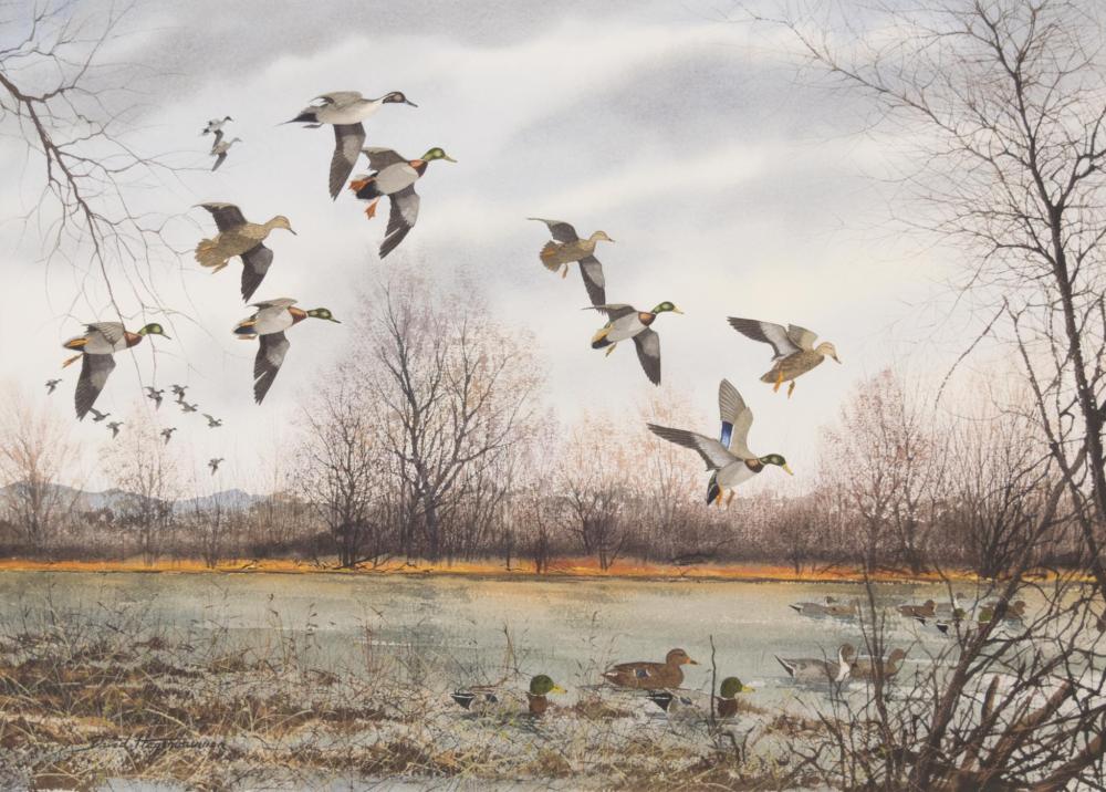DAVID HAGERBAUMER WATERCOLOR ON