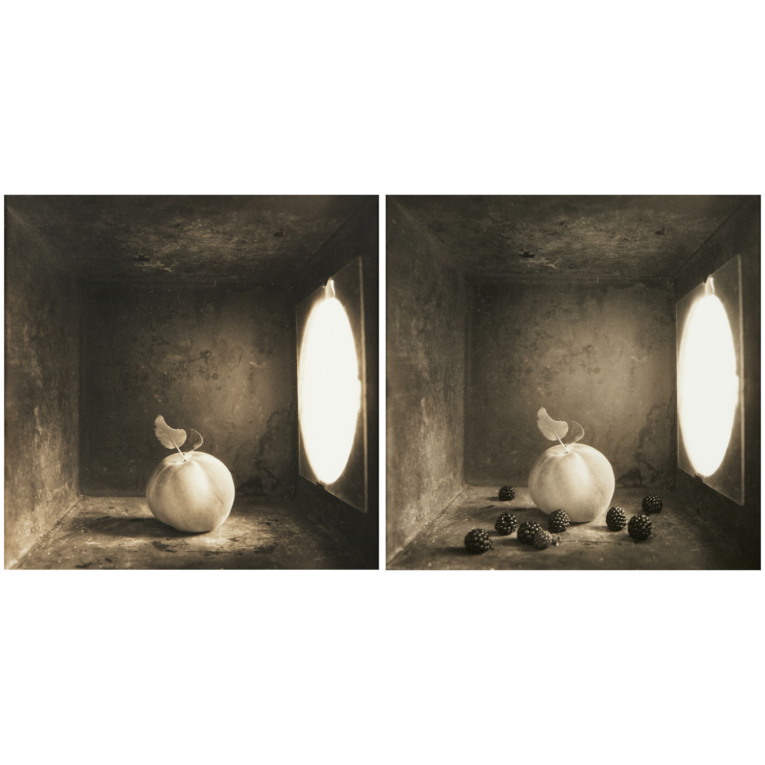 DAVID HALLIDAY, (2) PHOTOGRAPHS,