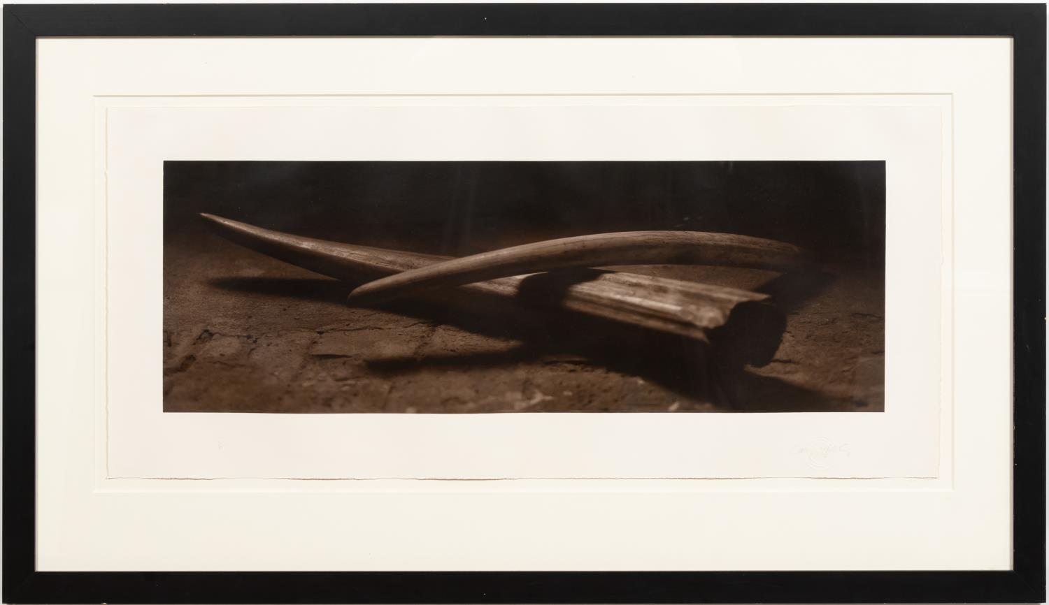 DAVID HALLIDAY, SEPIA PHOTOGRAPH,