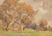 David Jan Curtis (born 1948)/W