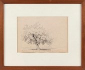 DAVID JOHNSON (NEW YORK, 1827-