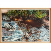 DAVID KESSLER, DIPTYCH LITHOGR
