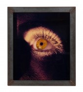 DAVID LACHAPELLE, "EYE", CIBAC