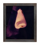 DAVID LACHAPELLE, "NOSE", CIBA