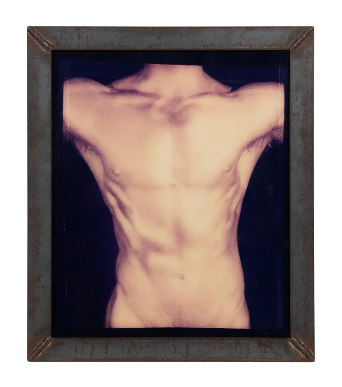 DAVID LACHAPELLE, "TORSO",