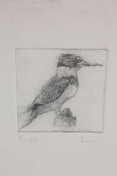 DAVID LAZARUS ETCHING "KINGFIS