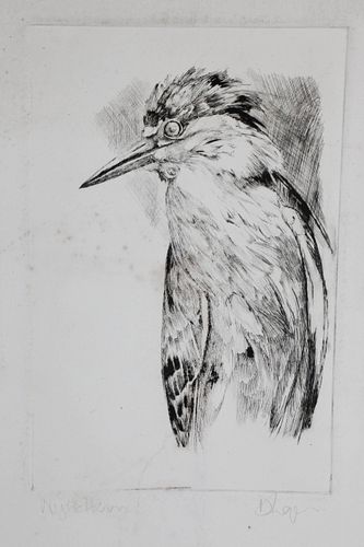 DAVID LAZARUS ETCHING "NIGHT