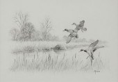 DAVID MAAS GRAPHITE DRAWING OF