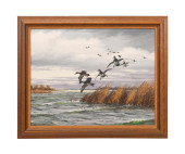DAVID MAASS DUCKS IN FLIGHT OI