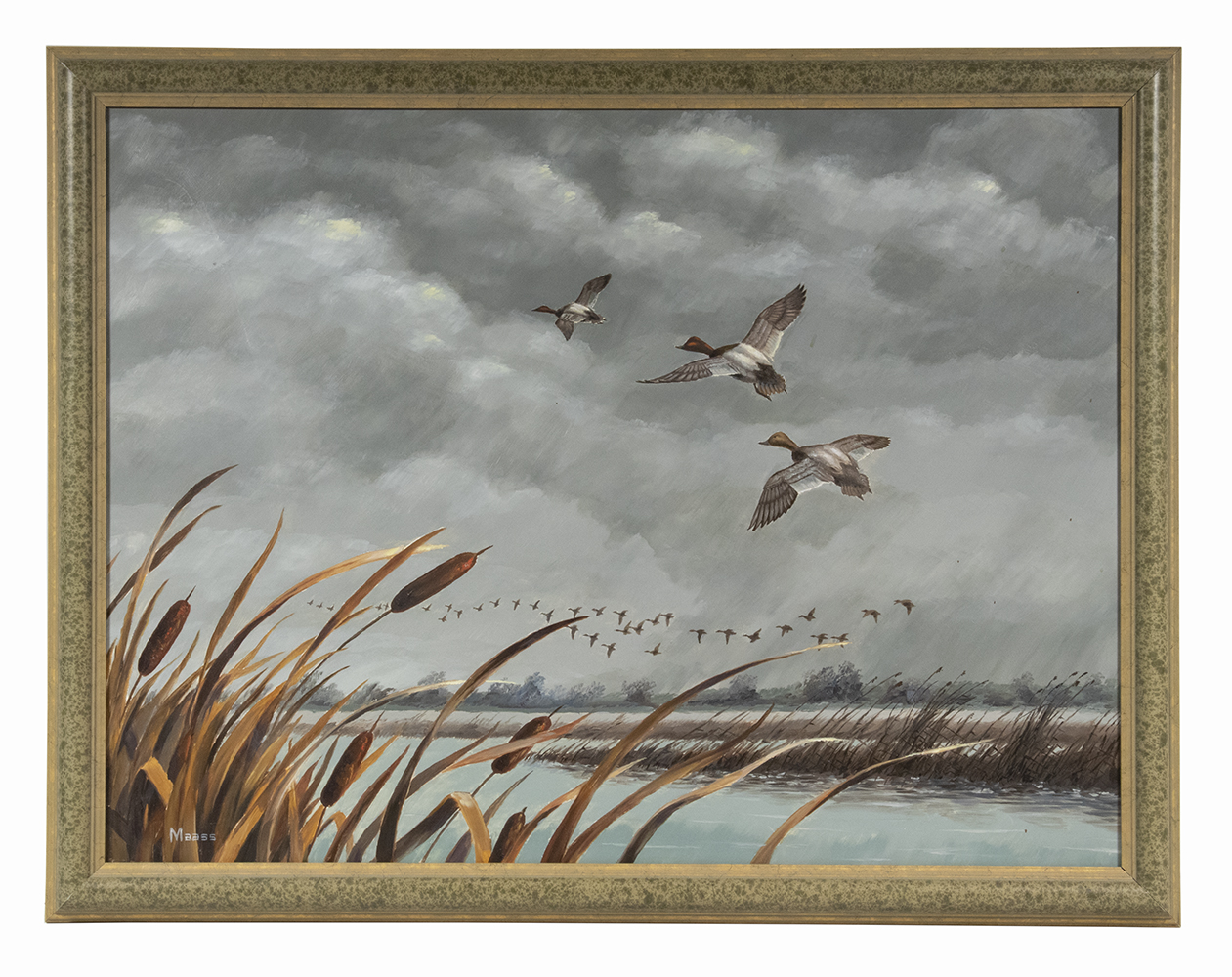 DAVID MAASS (MN, 1929 - )