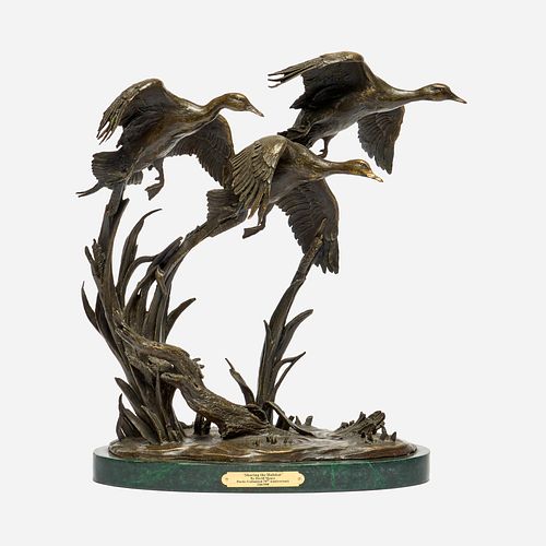 DAVID MAASS "SHARING THE HABITAT"