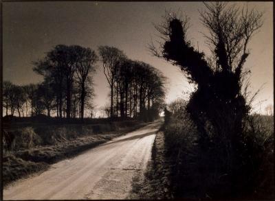 David Murray