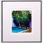 DAVID P. WILEY: POOL AT LA PUE