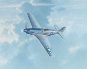 DAVID POOLE USA WWII FIGHTER P