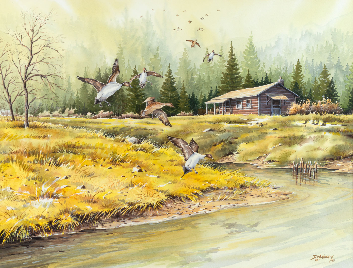 DAVID R. MALONEY (1942-2020),
