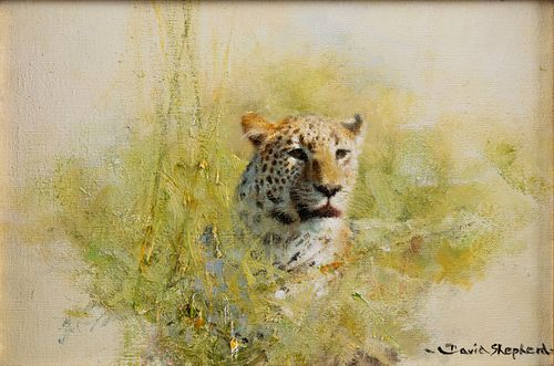 DAVID (RICHARD DAVID) SHEPHERD