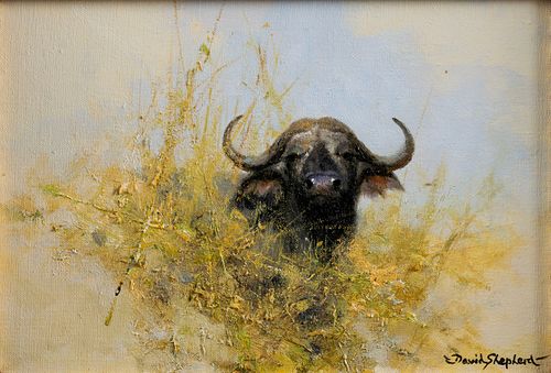 DAVID (RICHARD DAVID) SHEPHERD