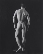 DAVID SEIDNER (1957-1999): UNT