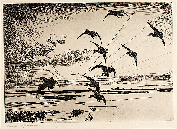 Dawn by Frank Weston Benson Frank