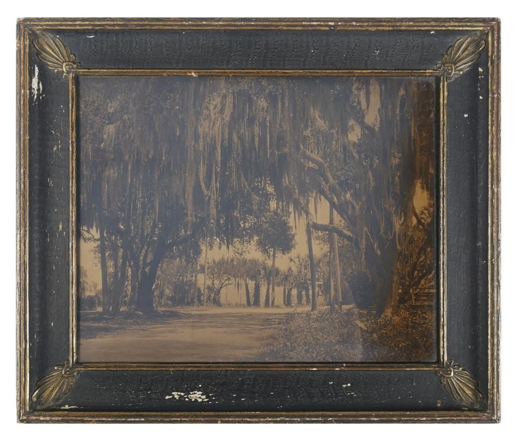 DAYTONA, HABERLETONE PHOTOGRAPH,