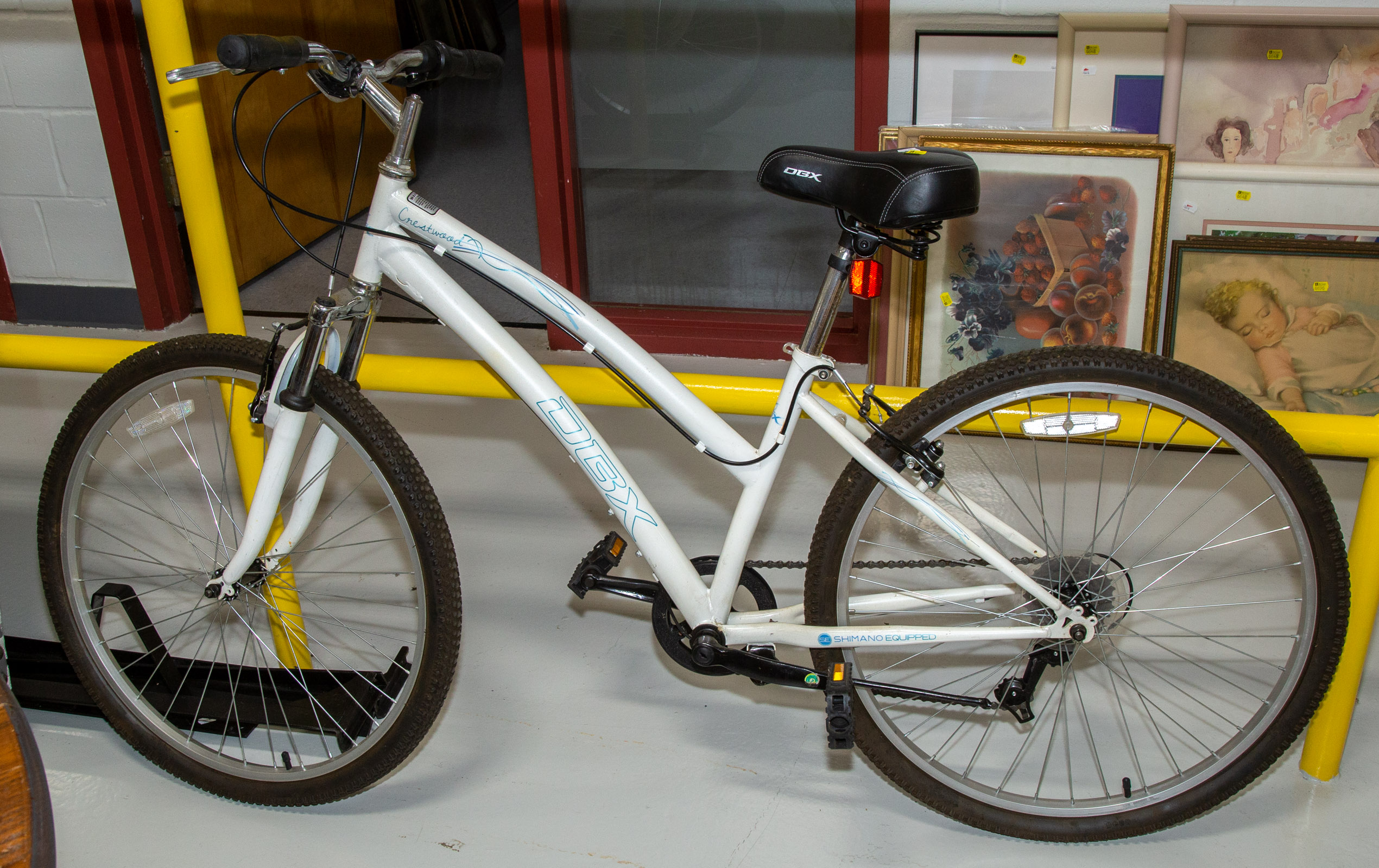 DBX CRESTWOOD WOMAN'S BICYCLE