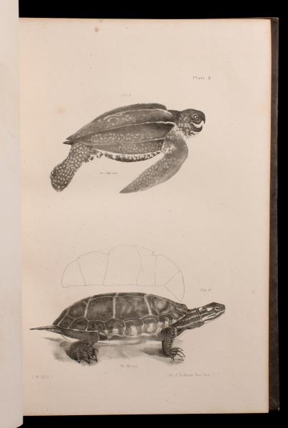 DE KAY, JAMES E. NATURAL HISTORY OF