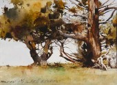 DEAN MITCHELL AWS, (B. 1957),