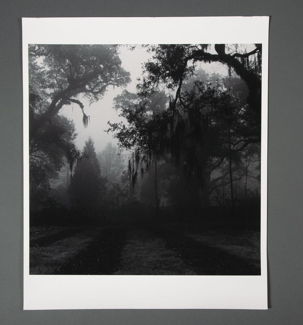 DEBBIE FLEMING CAFFERY