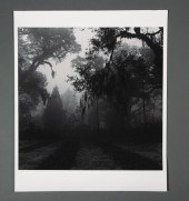 DEBBIE FLEMING CAFFERY (AMERIC