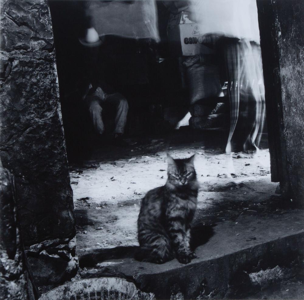 DEBBIE FLEMING CAFFERY