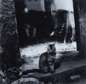 DEBBIE FLEMING CAFFERY (AMERIC