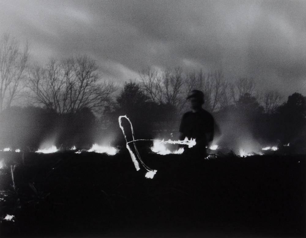 DEBBIE FLEMING CAFFERY