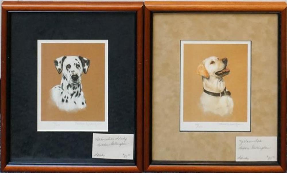 DEBBIE GILLINGHAM, DALMATION AND