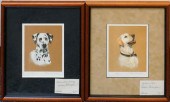 DEBBIE GILLINGHAM, DALMATION A