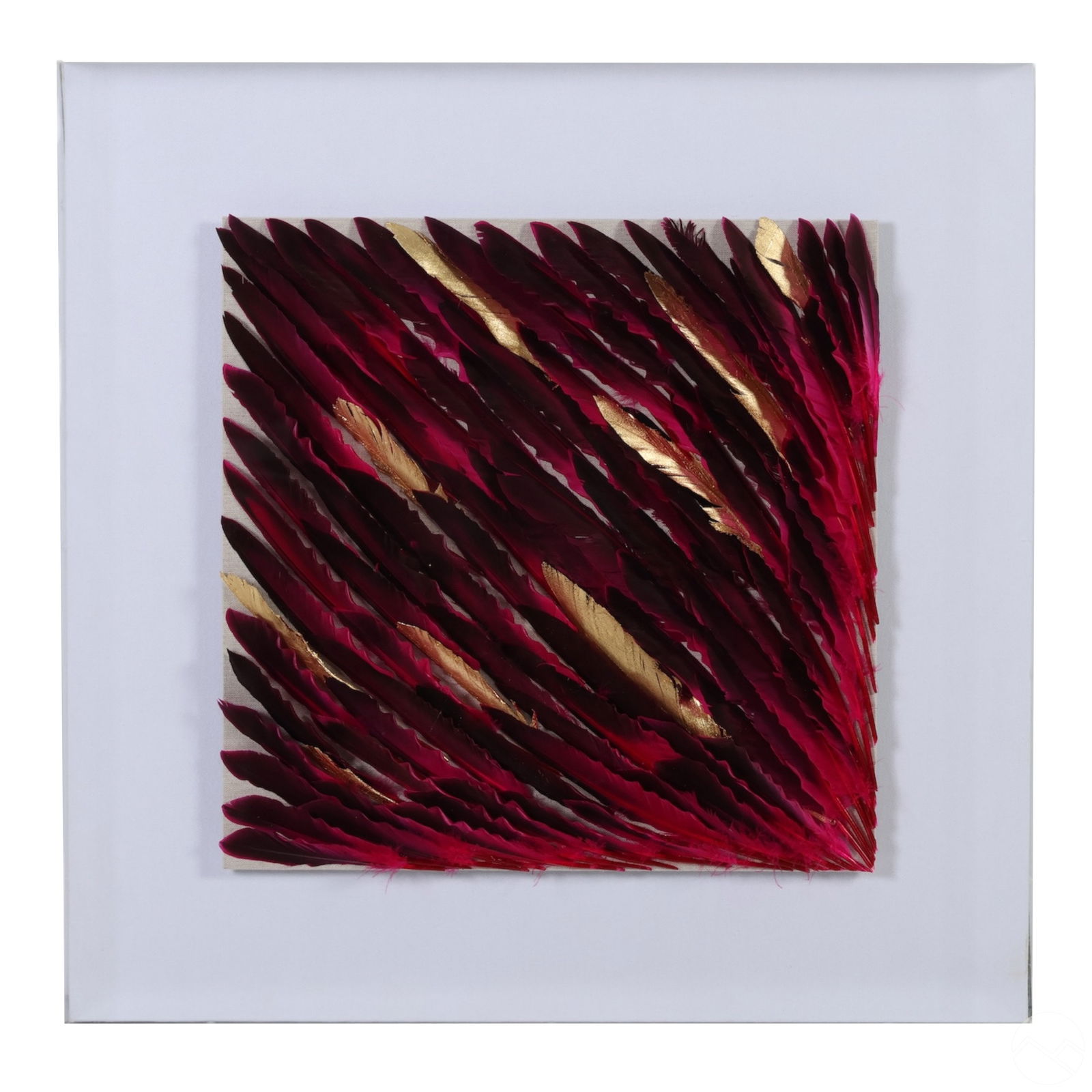 DECORATIVE AVIAN BIRD FEATHERS WALL