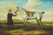 DECORATIVE EQUESTRIAN SPORTING