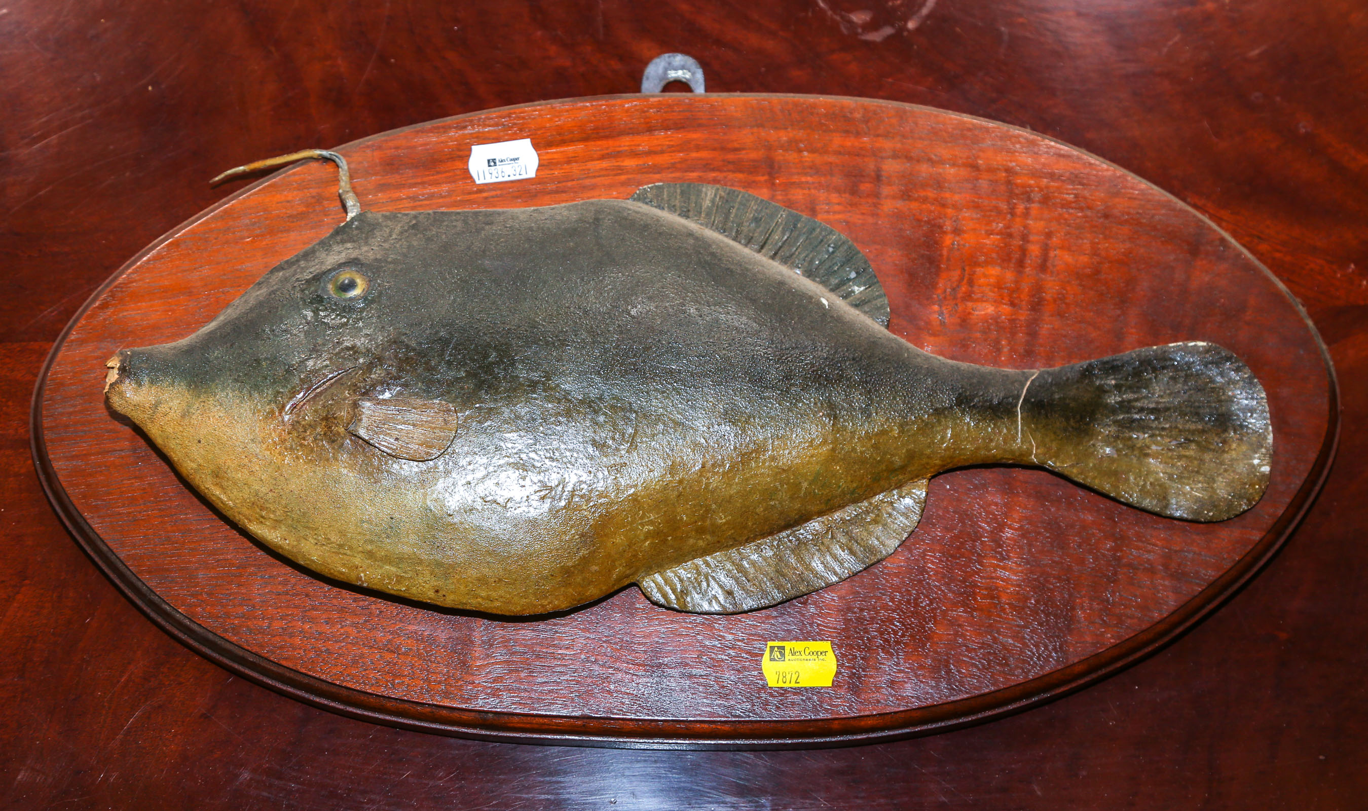 DECORATIVE WALL MOUNT: POSSIBLY A