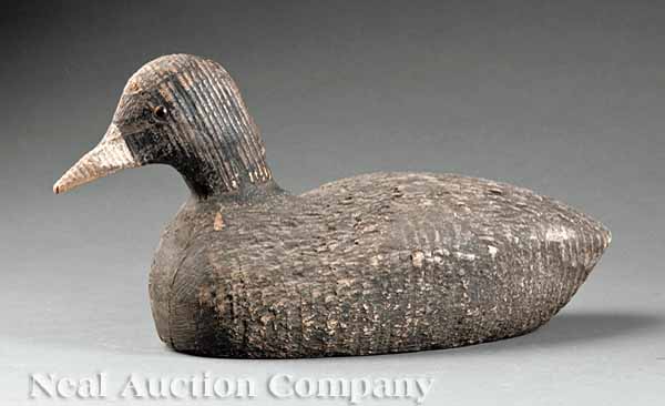 [Decoy] Coot or Poule Deau probably