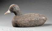 [Decoy] Coot or Poule Deau pro