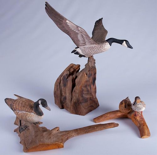 DEGAYRE, RIGGS, & RAY WATERFOWL