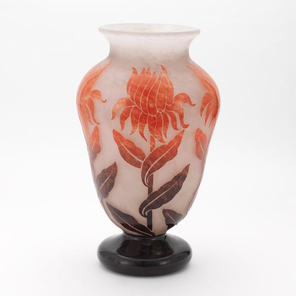 DEGUE CHRYSANTHEMUM CAMEO CUT