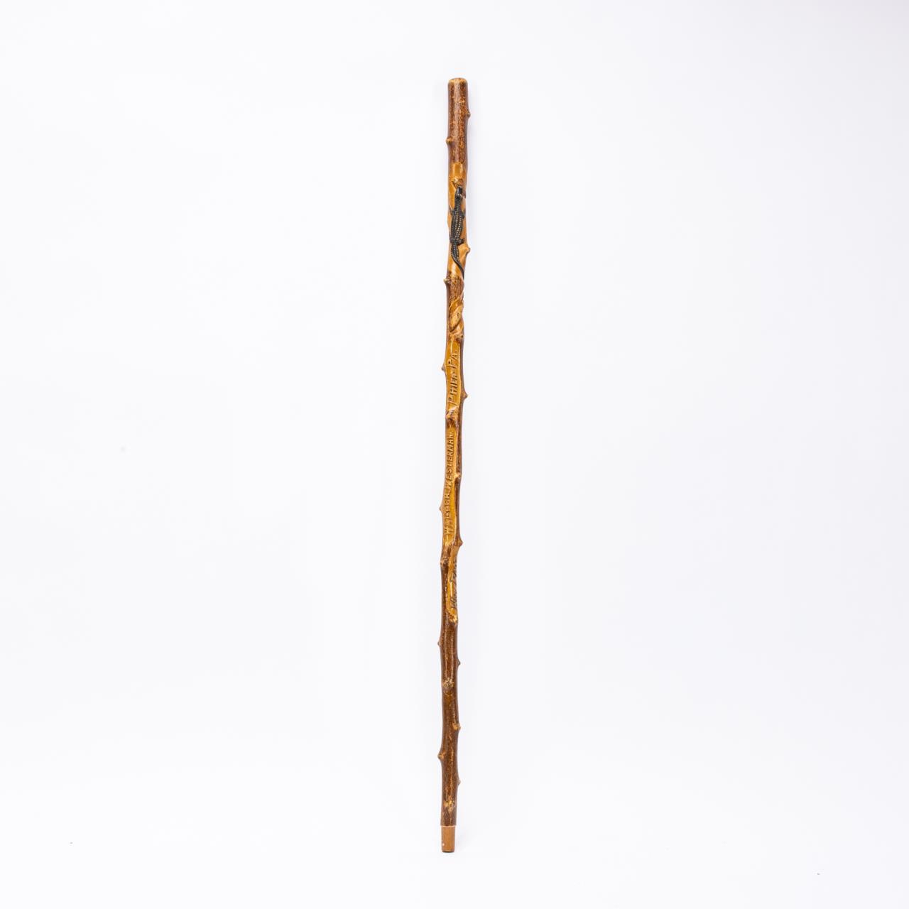DELAND FLORIDA WALKING STICK,