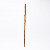 DELAND FLORIDA WALKING STICK,
