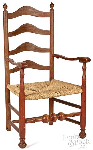 DELAWARE VALLEY LADDERBACK