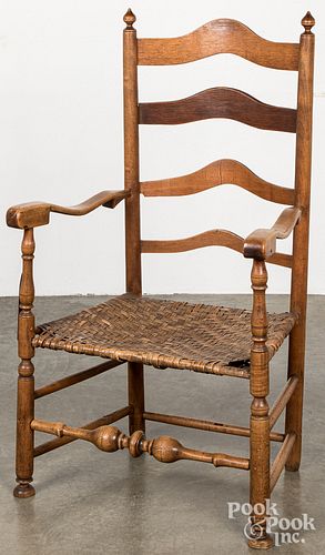 DELAWARE VALLEY LADDERBACK