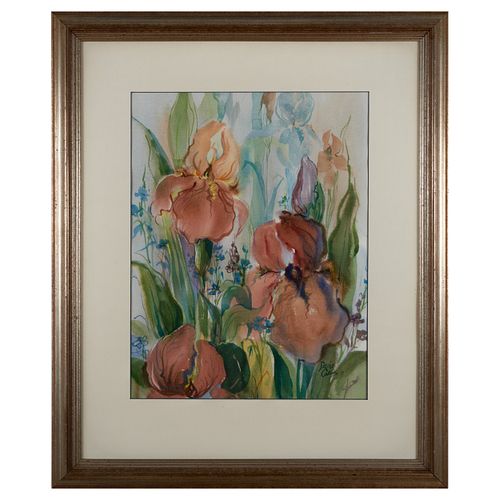 DENISE COLLINS: IRISESWatercolor on