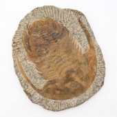 DENNIS CAMPAY, "UNTITLED" ABST